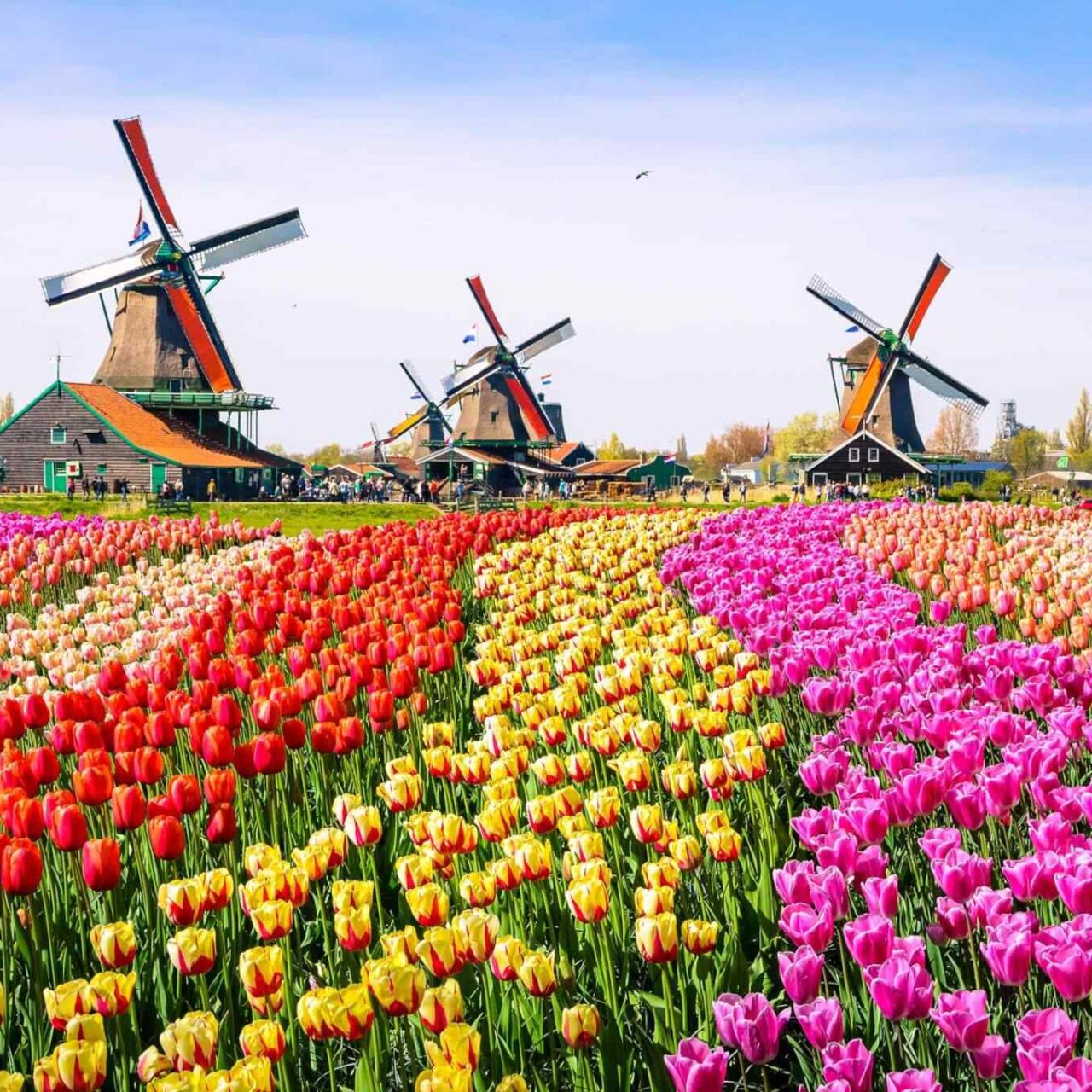 https://moroccotournow.com/wp-content/uploads/2018/09/destination-netherlands-01-1280x1280.jpg