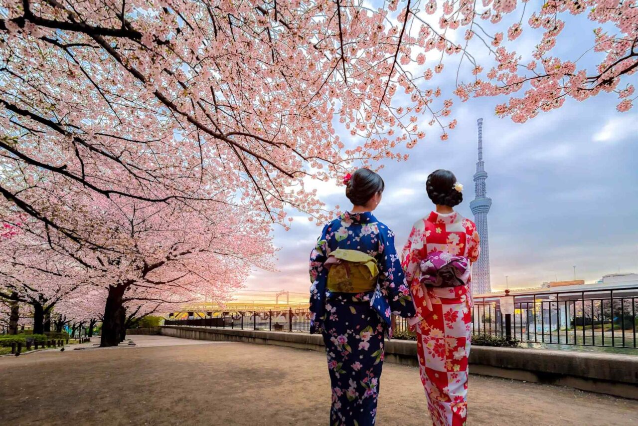 destination-tokyo-03 https://moroccotournow.com/wp-content/uploads/2018/09/destination-tokyo-03-1280x854.jpg
