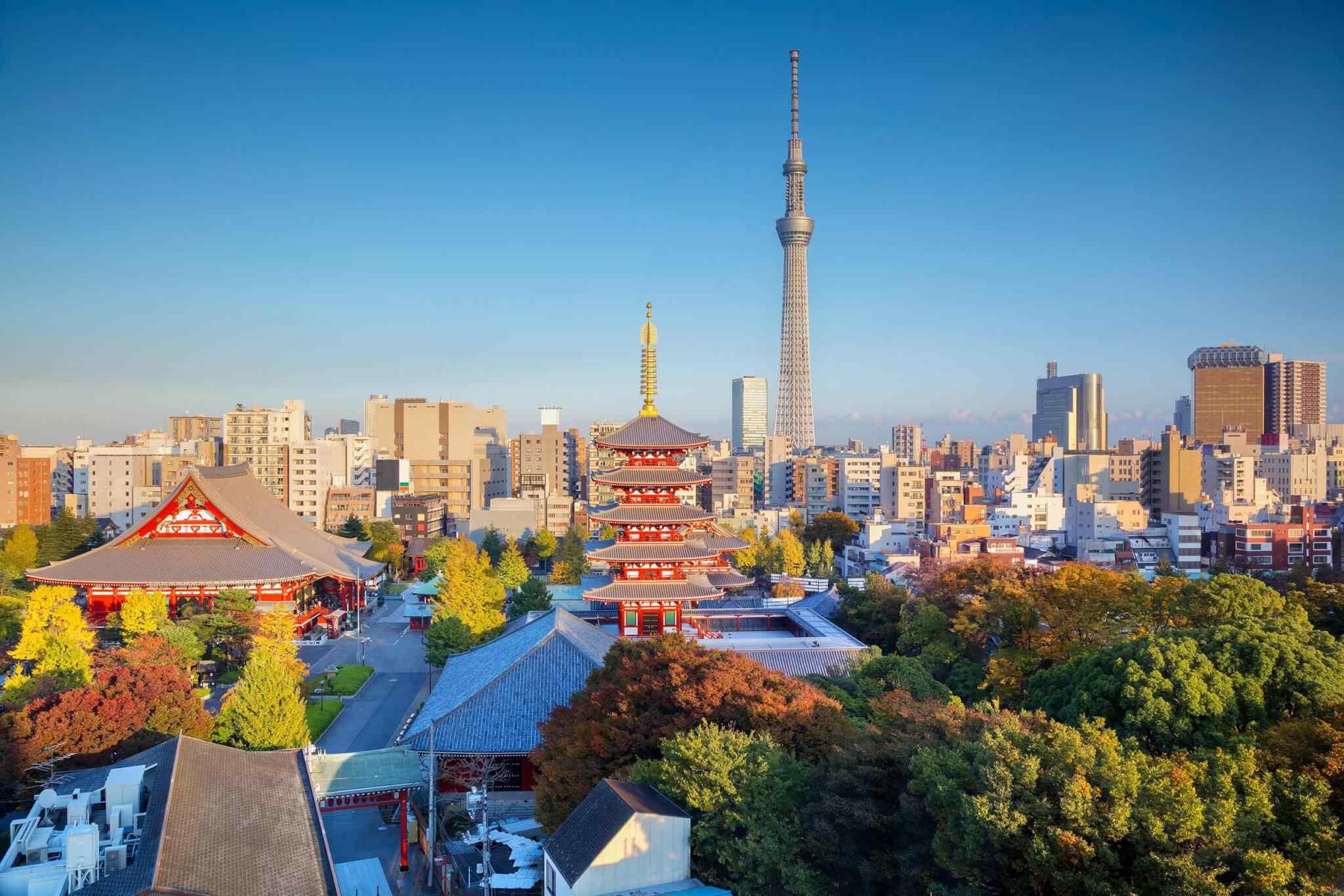 https://moroccotournow.com/wp-content/uploads/2018/09/destination-tokyo-04.jpg