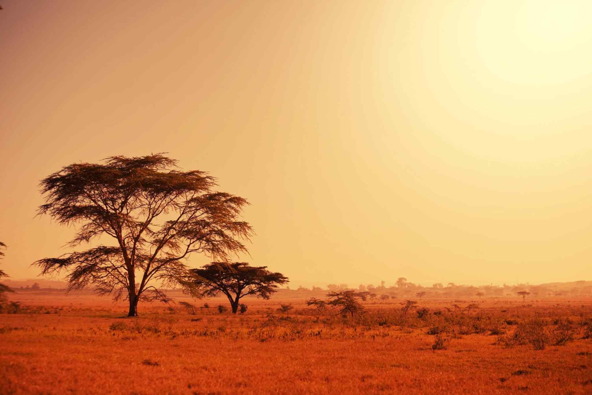 https://moroccotournow.com/wp-content/uploads/2018/09/tour-africa-02.jpg